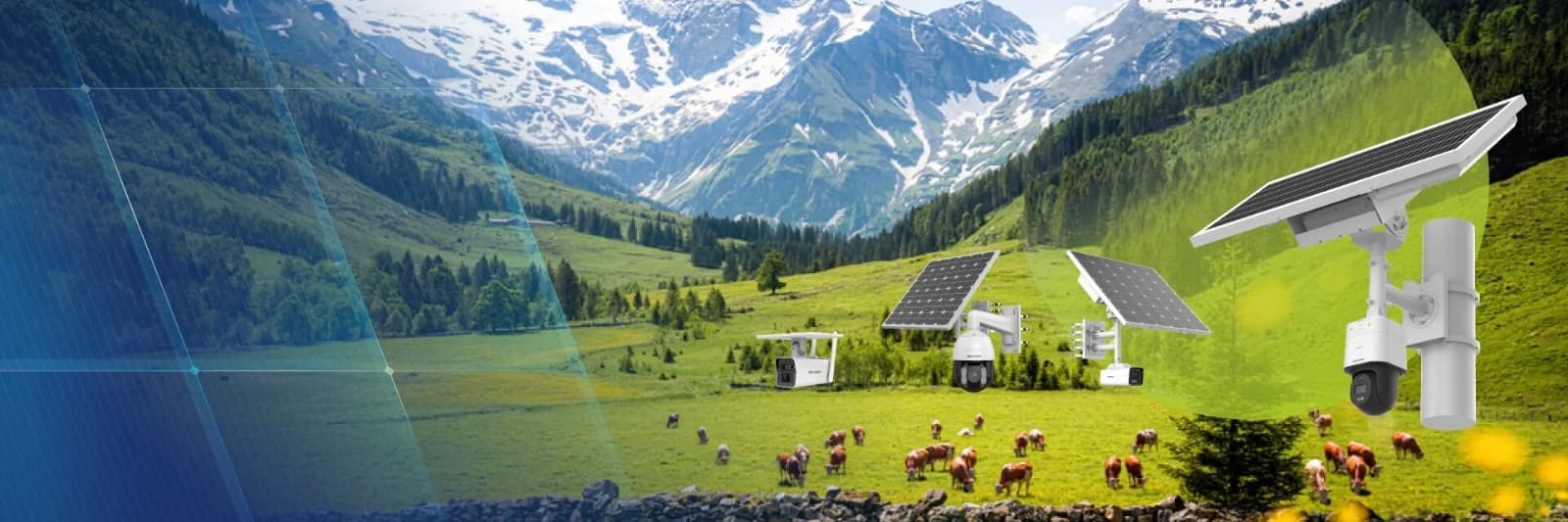 Advanced Surveillance Solutions